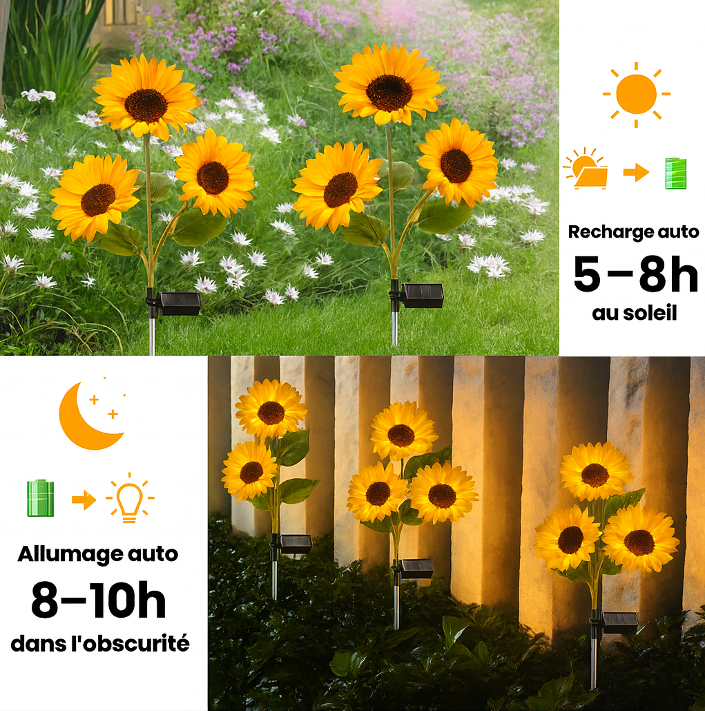 Mina små solrosor®