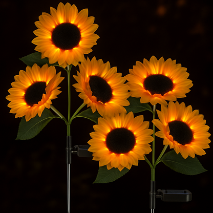 Mina små solrosor®